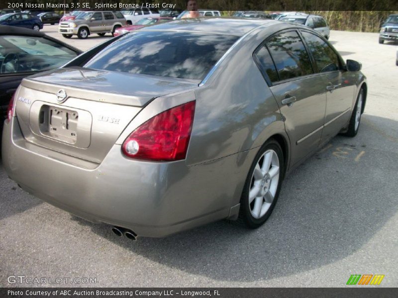 Spirited Bronze / Frost Gray 2004 Nissan Maxima 3.5 SE