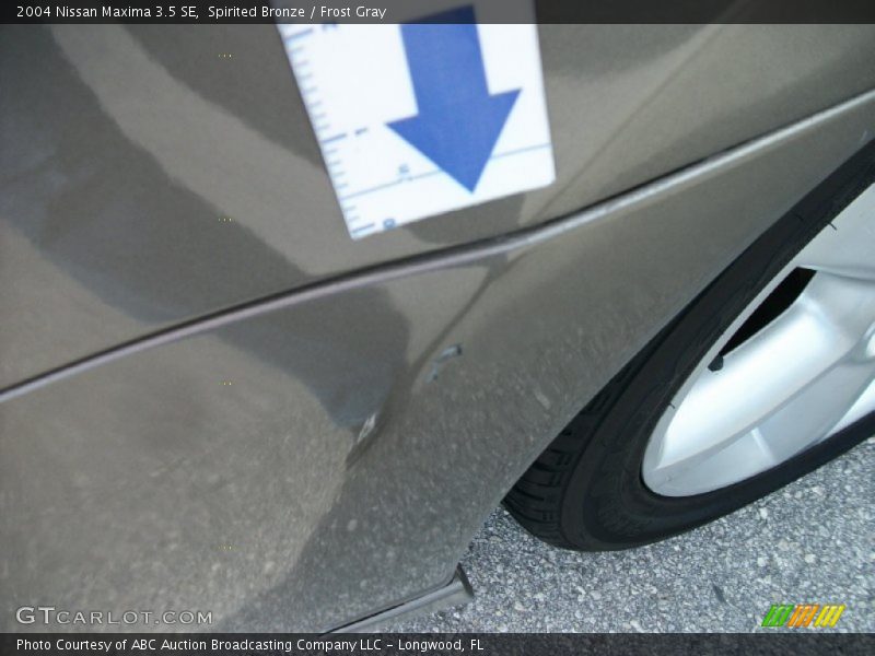 Spirited Bronze / Frost Gray 2004 Nissan Maxima 3.5 SE