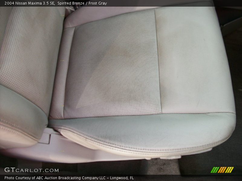 Spirited Bronze / Frost Gray 2004 Nissan Maxima 3.5 SE