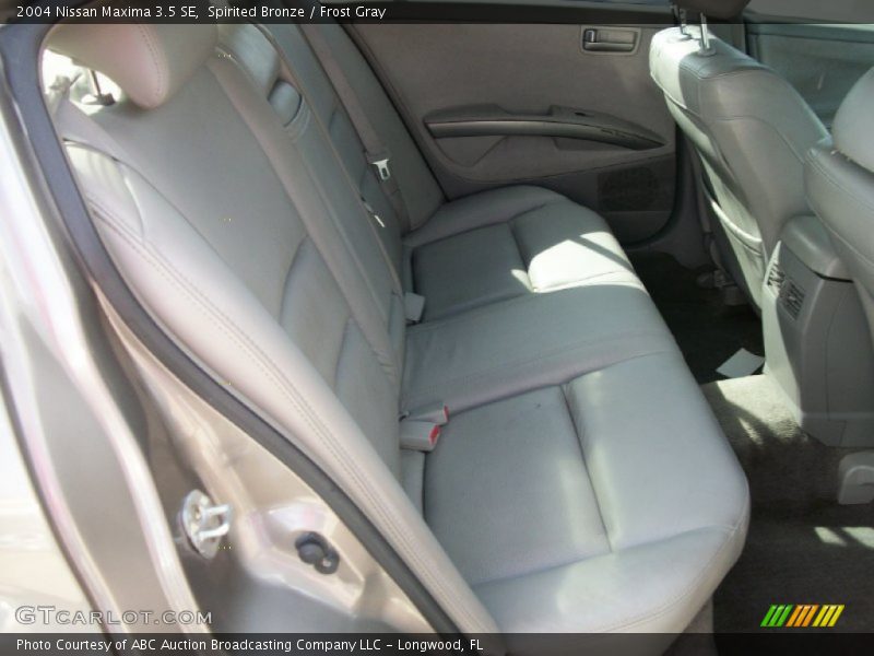 Spirited Bronze / Frost Gray 2004 Nissan Maxima 3.5 SE