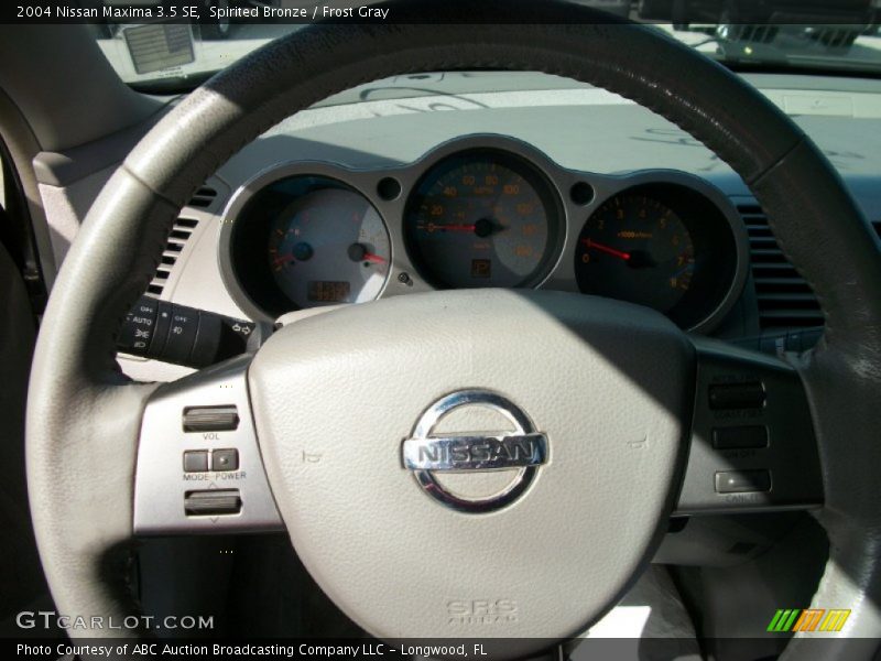 Spirited Bronze / Frost Gray 2004 Nissan Maxima 3.5 SE