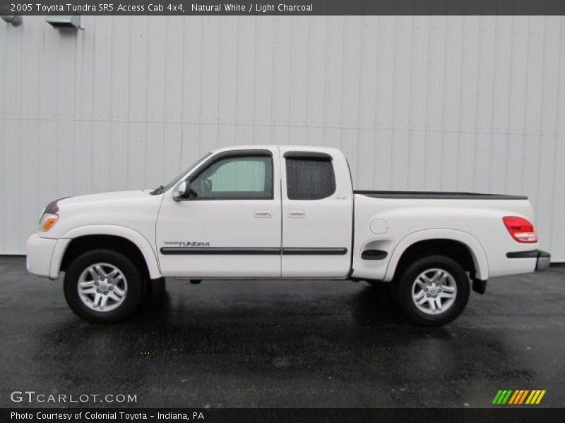 Natural White / Light Charcoal 2005 Toyota Tundra SR5 Access Cab 4x4