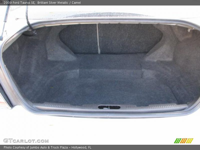 Brilliant Silver Metallic / Camel 2009 Ford Taurus SE