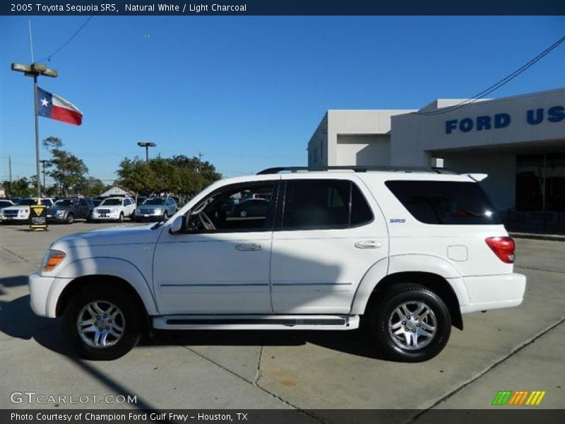 Natural White / Light Charcoal 2005 Toyota Sequoia SR5