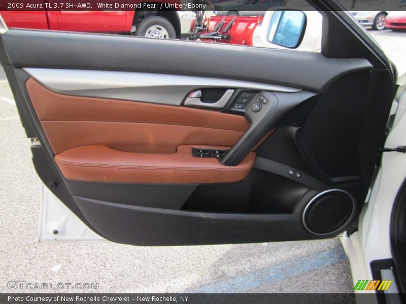 Door Panel of 2009 TL 3.7 SH-AWD