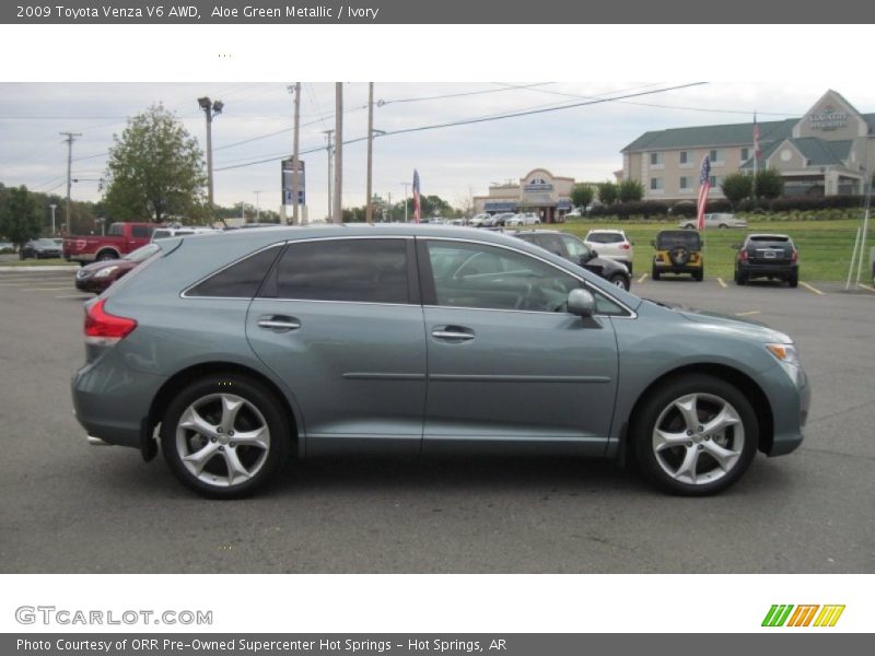 Aloe Green Metallic / Ivory 2009 Toyota Venza V6 AWD