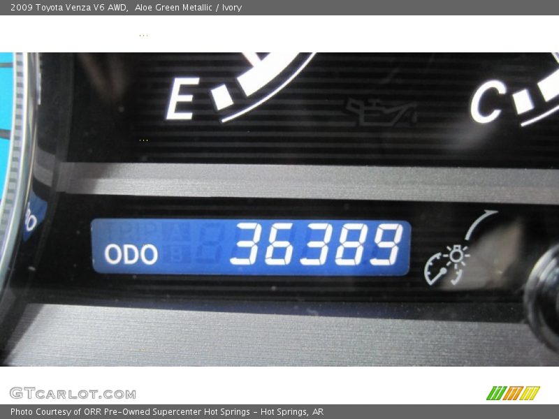 Aloe Green Metallic / Ivory 2009 Toyota Venza V6 AWD