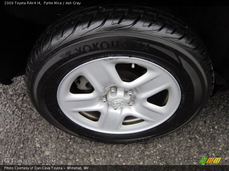Pyrite Mica / Ash Gray 2009 Toyota RAV4 I4