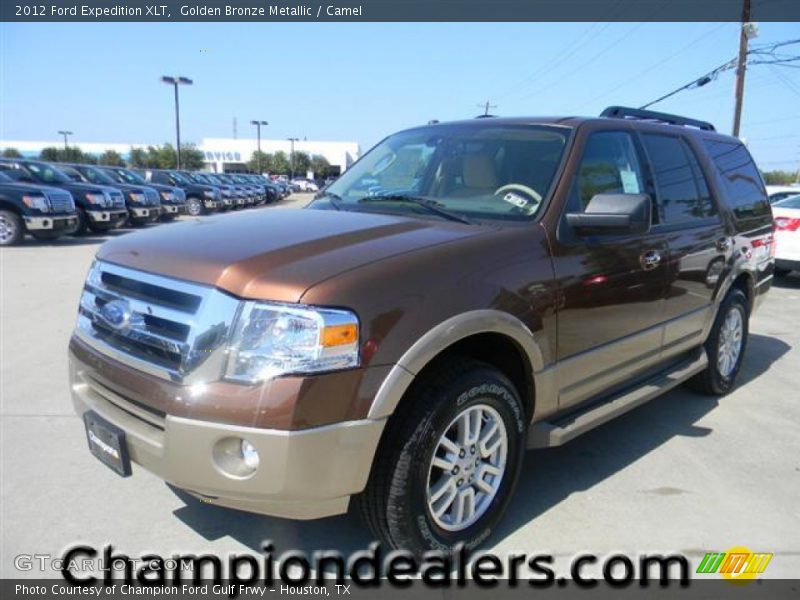 Golden Bronze Metallic / Camel 2012 Ford Expedition XLT