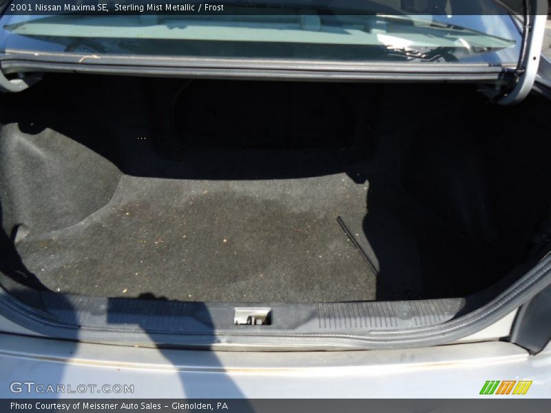 Sterling Mist Metallic / Frost 2001 Nissan Maxima SE