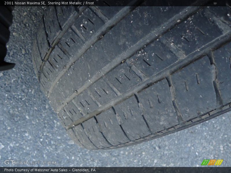 Sterling Mist Metallic / Frost 2001 Nissan Maxima SE