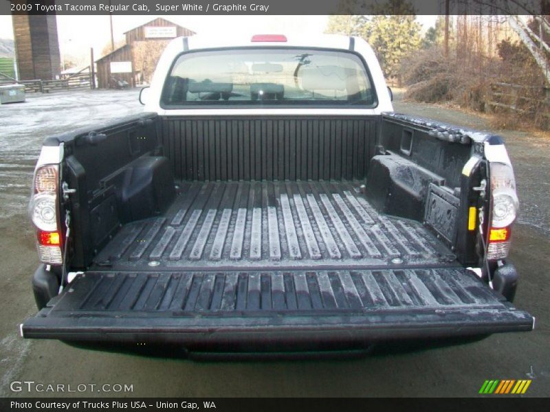 Super White / Graphite Gray 2009 Toyota Tacoma Regular Cab
