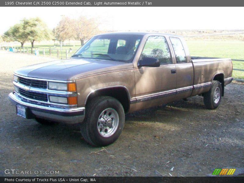Light Autumnwood Metallic / Tan 1995 Chevrolet C/K 2500 C2500 Extended Cab
