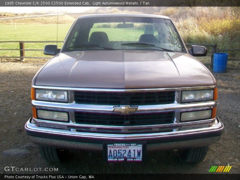 Light Autumnwood Metallic / Tan 1995 Chevrolet C/K 2500 C2500 Extended Cab