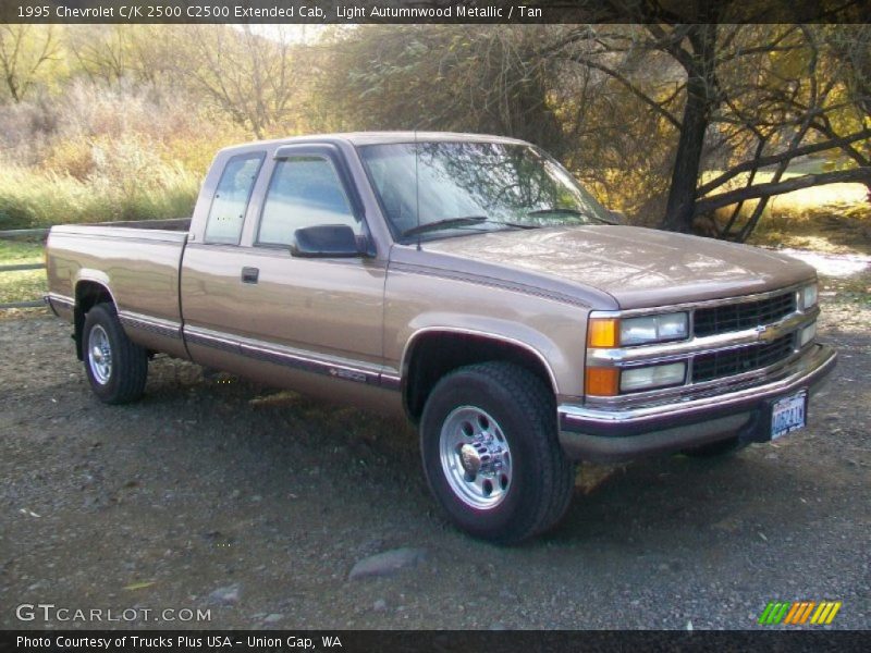 Light Autumnwood Metallic / Tan 1995 Chevrolet C/K 2500 C2500 Extended Cab