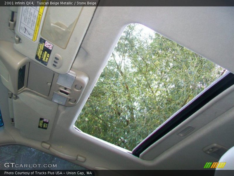 Tuscan Beige Metallic / Stone Beige 2001 Infiniti QX4