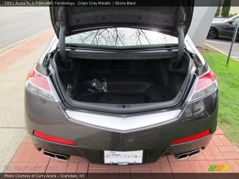 Grigio Gray Metallic / Ebony Black 2011 Acura TL 3.7 SH-AWD Technology