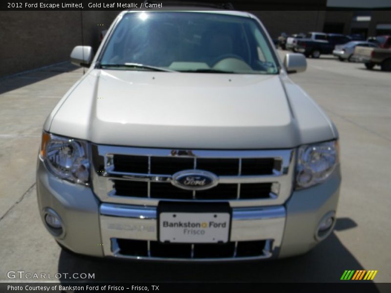 Gold Leaf Metallic / Camel 2012 Ford Escape Limited