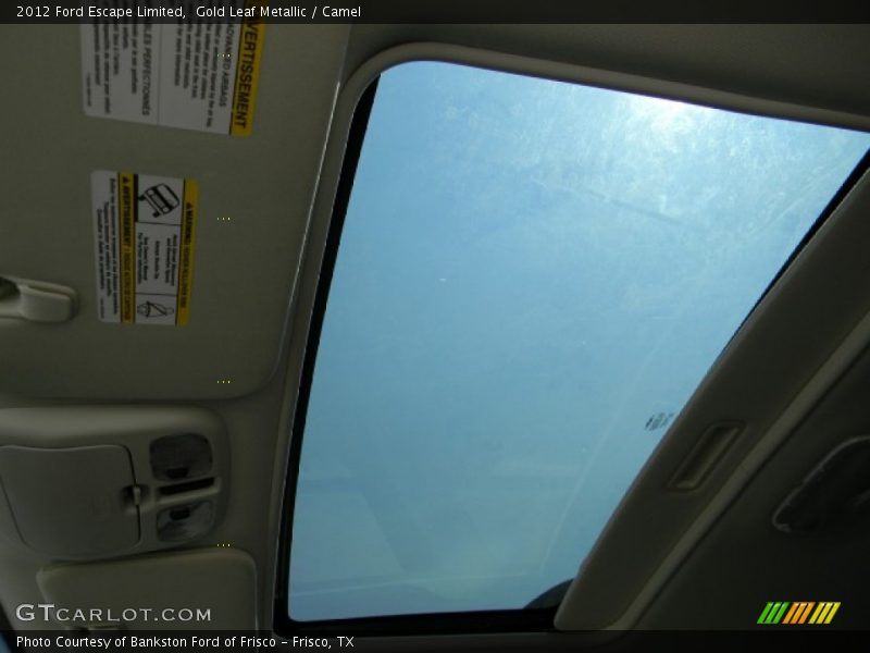 Gold Leaf Metallic / Camel 2012 Ford Escape Limited