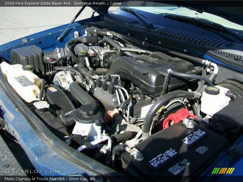 Sport Blue Metallic / Camel 2009 Ford Explorer Eddie Bauer 4x4