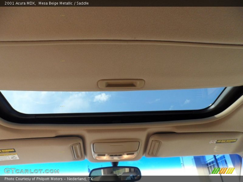 Mesa Beige Metallic / Saddle 2001 Acura MDX
