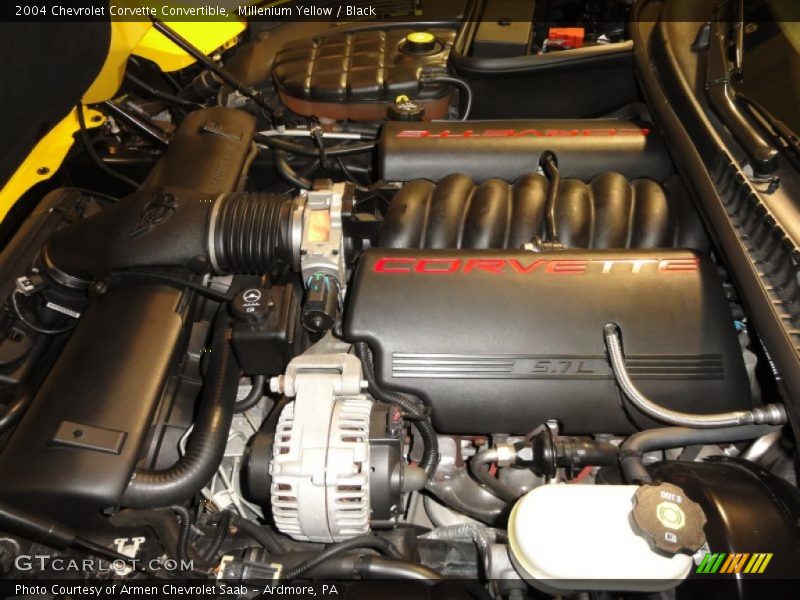 Millenium Yellow / Black 2004 Chevrolet Corvette Convertible