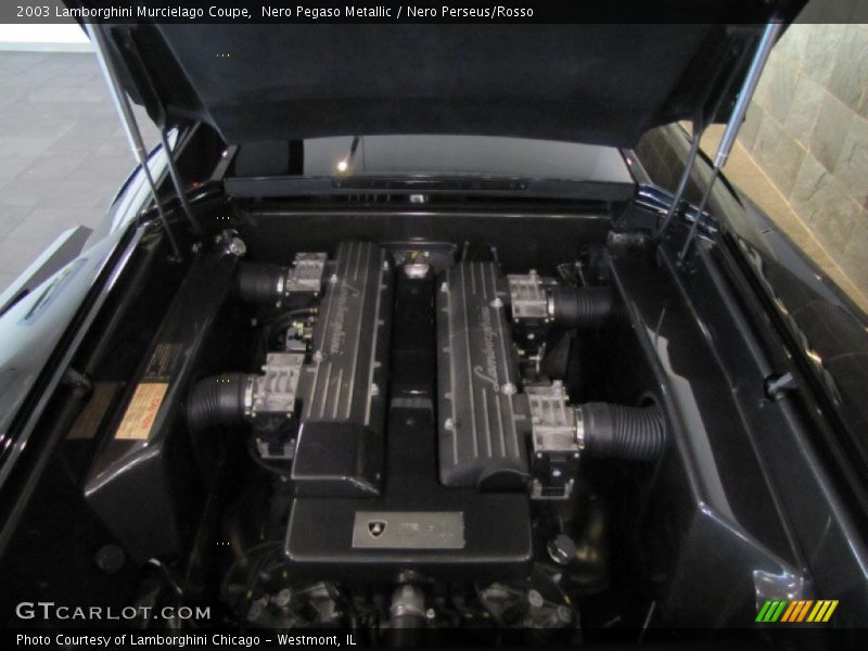  2003 Murcielago Coupe Engine - 6.2 Liter DOHC 48-Valve VVT V12