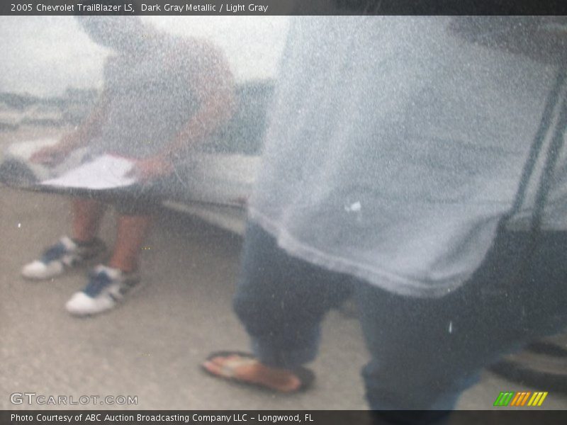 Dark Gray Metallic / Light Gray 2005 Chevrolet TrailBlazer LS