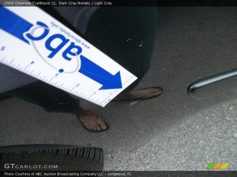 Dark Gray Metallic / Light Gray 2006 Chevrolet TrailBlazer LS