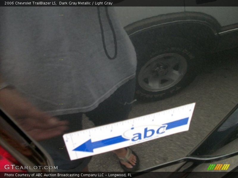 Dark Gray Metallic / Light Gray 2006 Chevrolet TrailBlazer LS