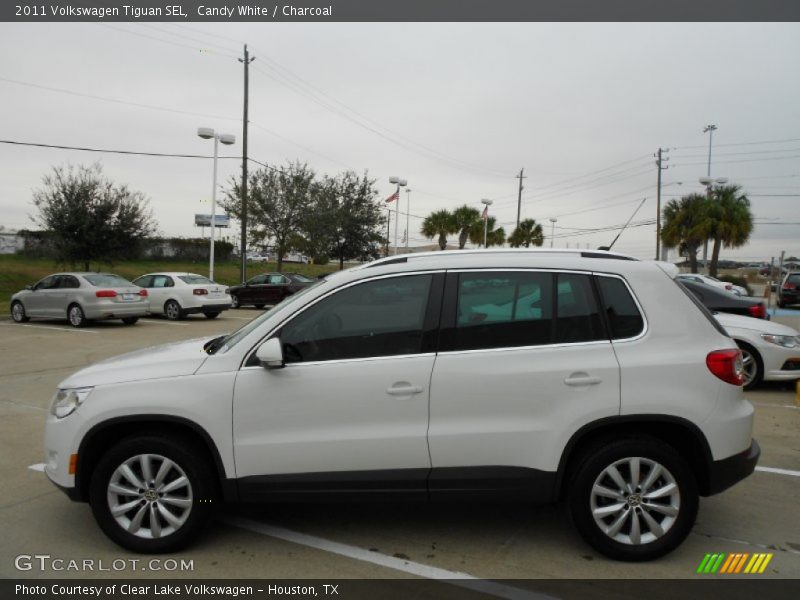 Candy White / Charcoal 2011 Volkswagen Tiguan SEL