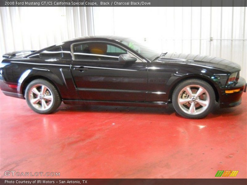Black / Charcoal Black/Dove 2008 Ford Mustang GT/CS California Special Coupe