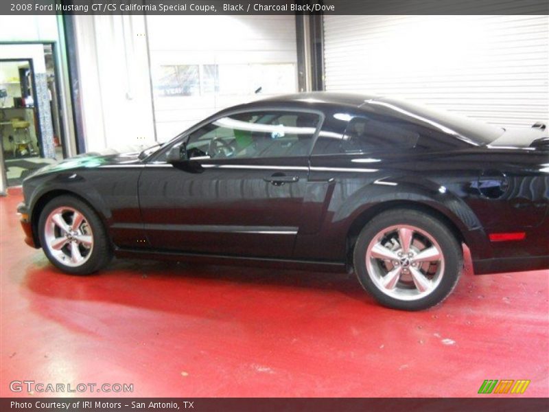 Black / Charcoal Black/Dove 2008 Ford Mustang GT/CS California Special Coupe