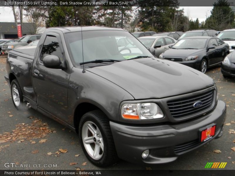 Dark Shadow Grey Metallic / Black/Silver 2003 Ford F150 SVT Lightning