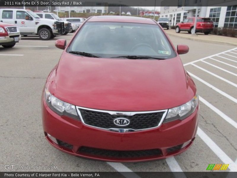 Spicy Red / Black 2011 Kia Forte EX 5 Door