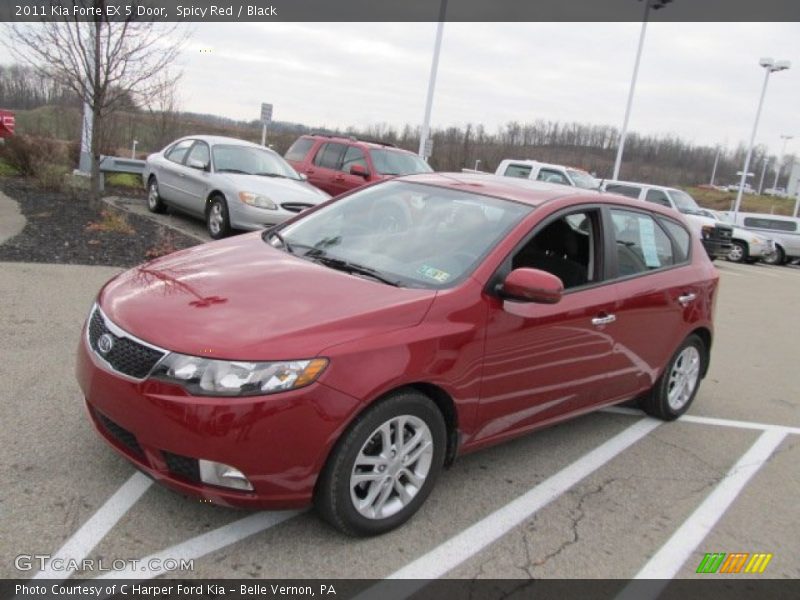 Spicy Red / Black 2011 Kia Forte EX 5 Door