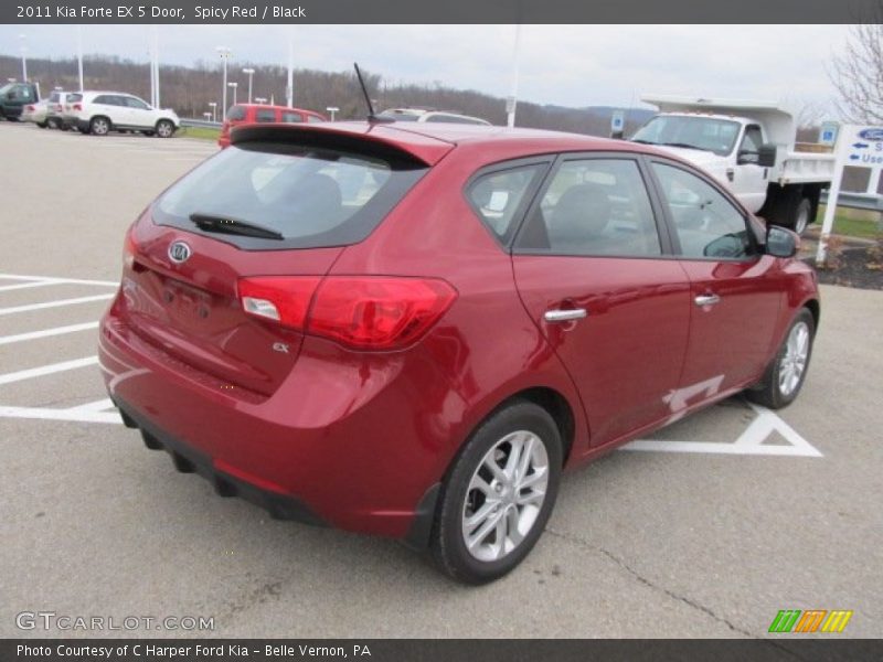 Spicy Red / Black 2011 Kia Forte EX 5 Door