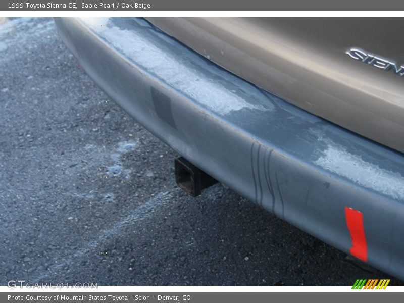 Sable Pearl / Oak Beige 1999 Toyota Sienna CE