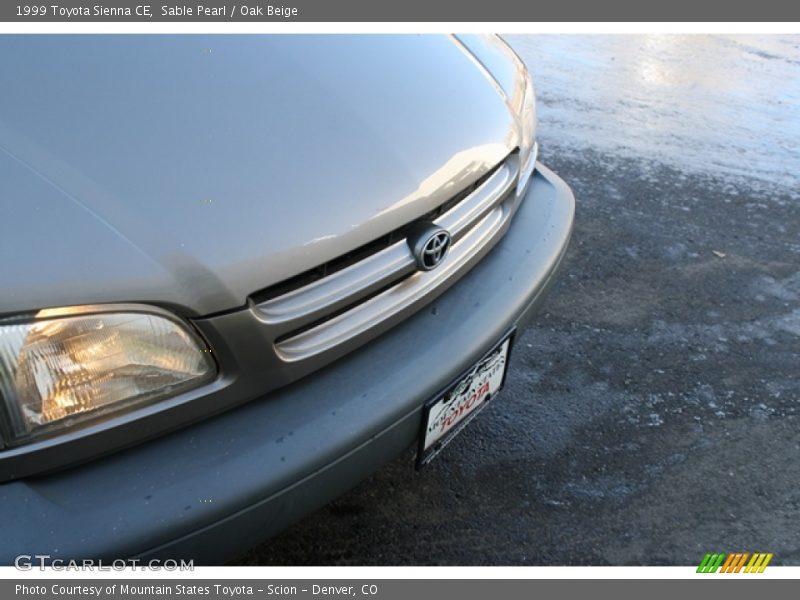 Sable Pearl / Oak Beige 1999 Toyota Sienna CE