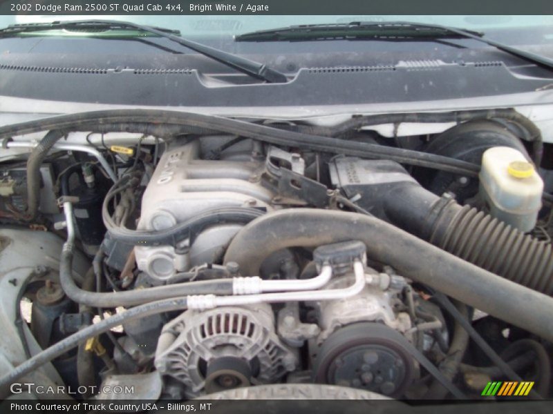 Bright White / Agate 2002 Dodge Ram 2500 ST Quad Cab 4x4
