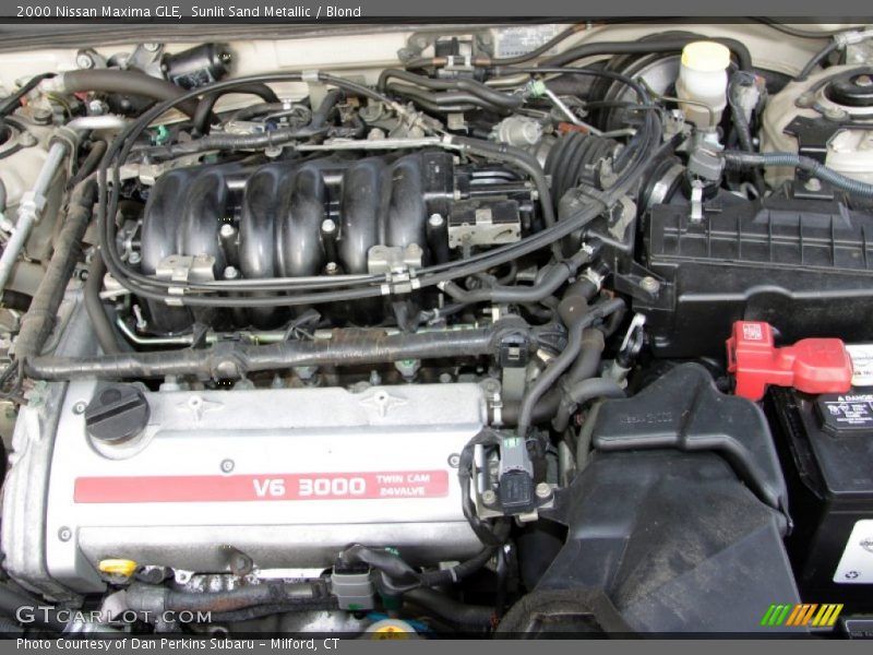 Sunlit Sand Metallic / Blond 2000 Nissan Maxima GLE