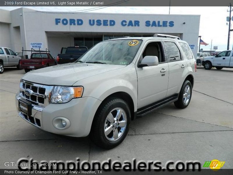 Light Sage Metallic / Camel 2009 Ford Escape Limited V6