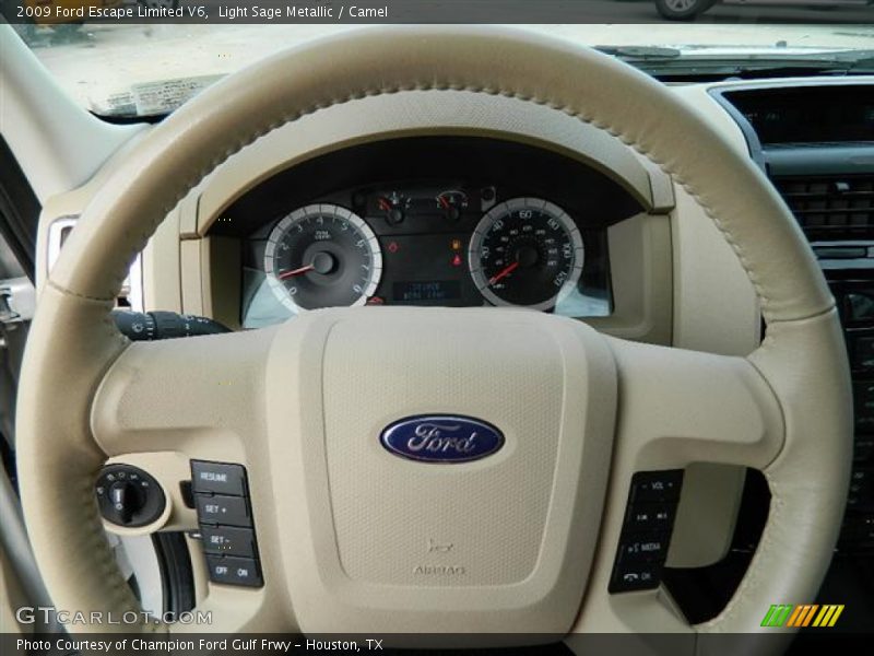 Light Sage Metallic / Camel 2009 Ford Escape Limited V6