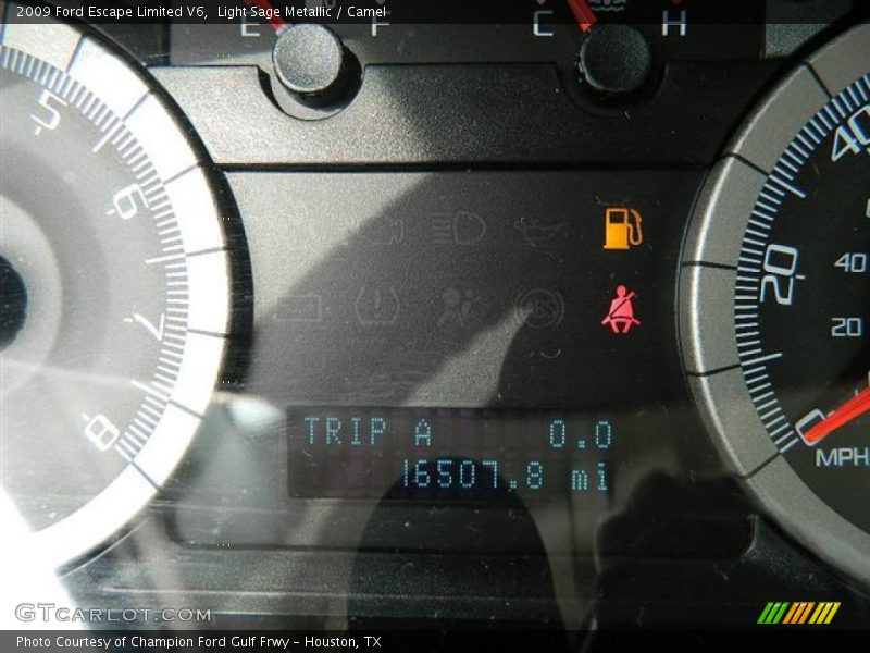 Light Sage Metallic / Camel 2009 Ford Escape Limited V6