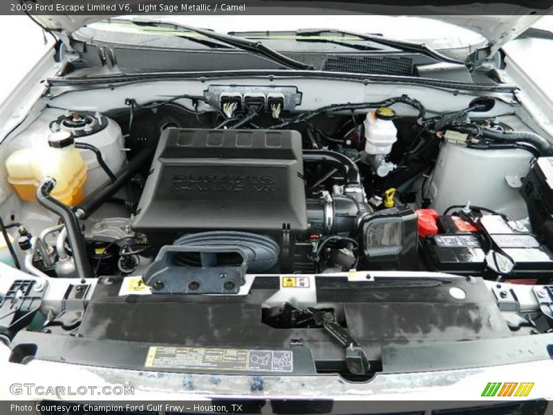 Light Sage Metallic / Camel 2009 Ford Escape Limited V6