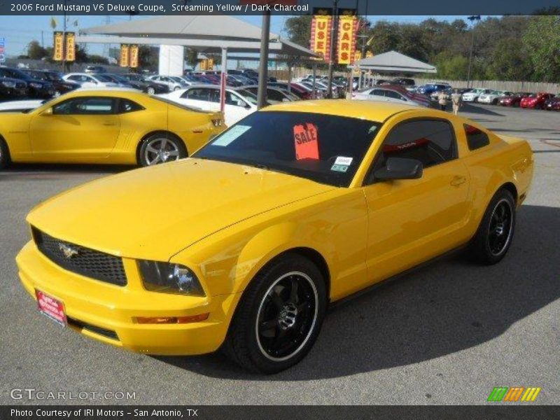 Screaming Yellow / Dark Charcoal 2006 Ford Mustang V6 Deluxe Coupe