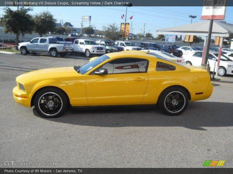 Screaming Yellow / Dark Charcoal 2006 Ford Mustang V6 Deluxe Coupe