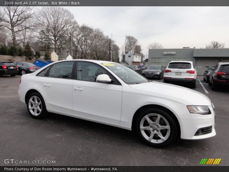Ibis White / Black 2009 Audi A4 2.0T Sedan