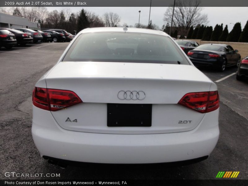 Ibis White / Black 2009 Audi A4 2.0T Sedan