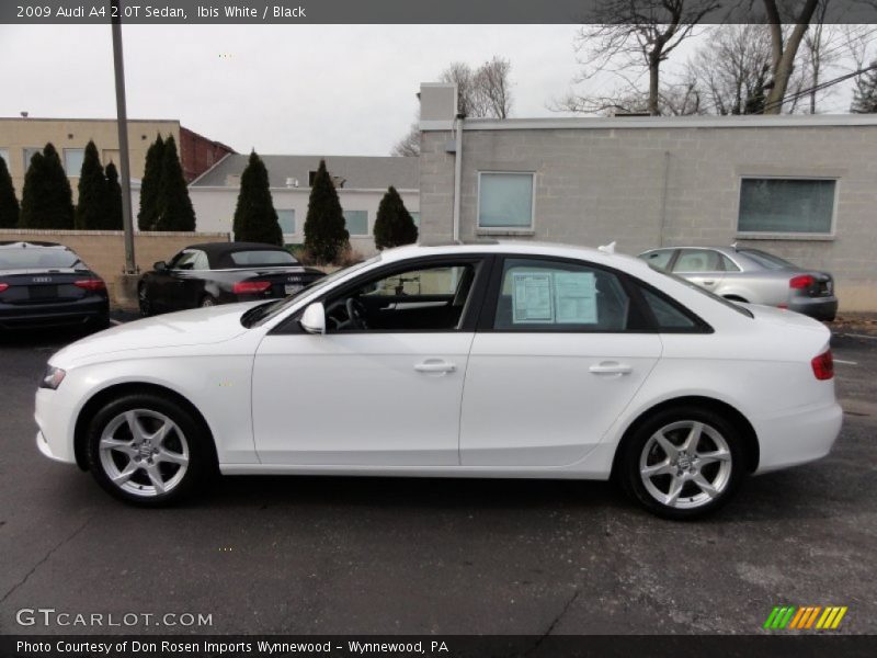 Ibis White / Black 2009 Audi A4 2.0T Sedan